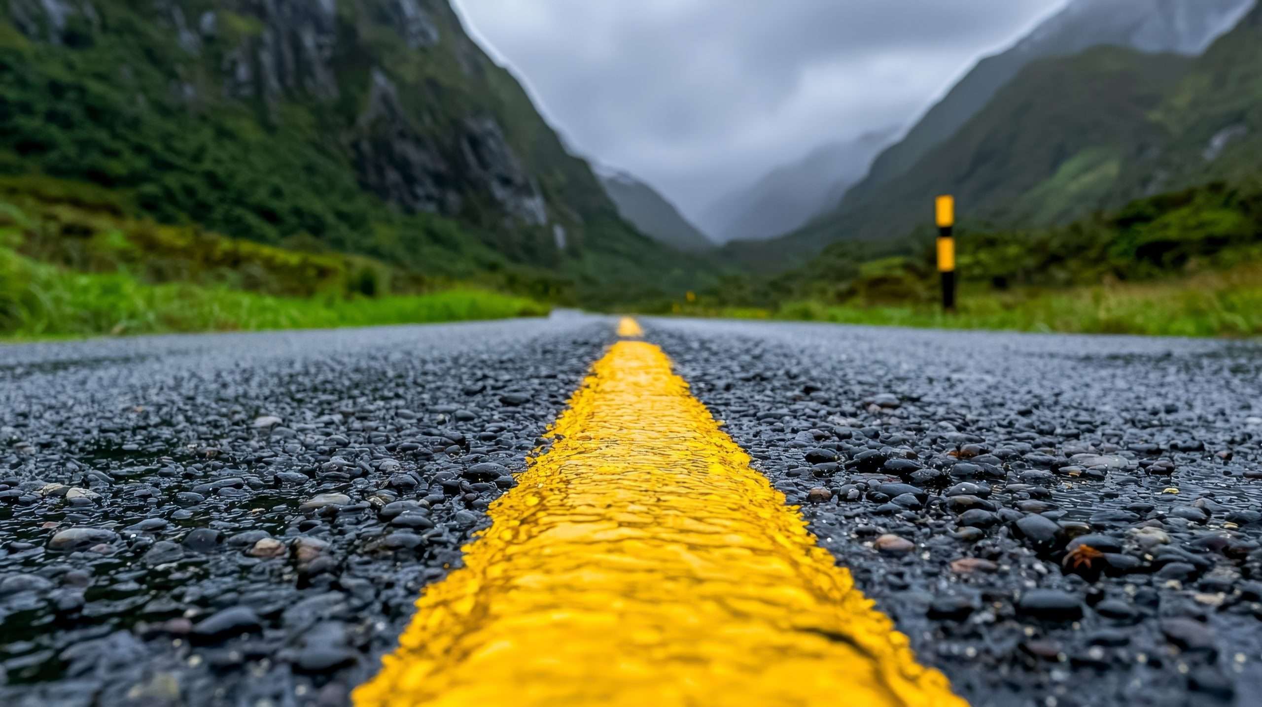 Stay in Your Lane