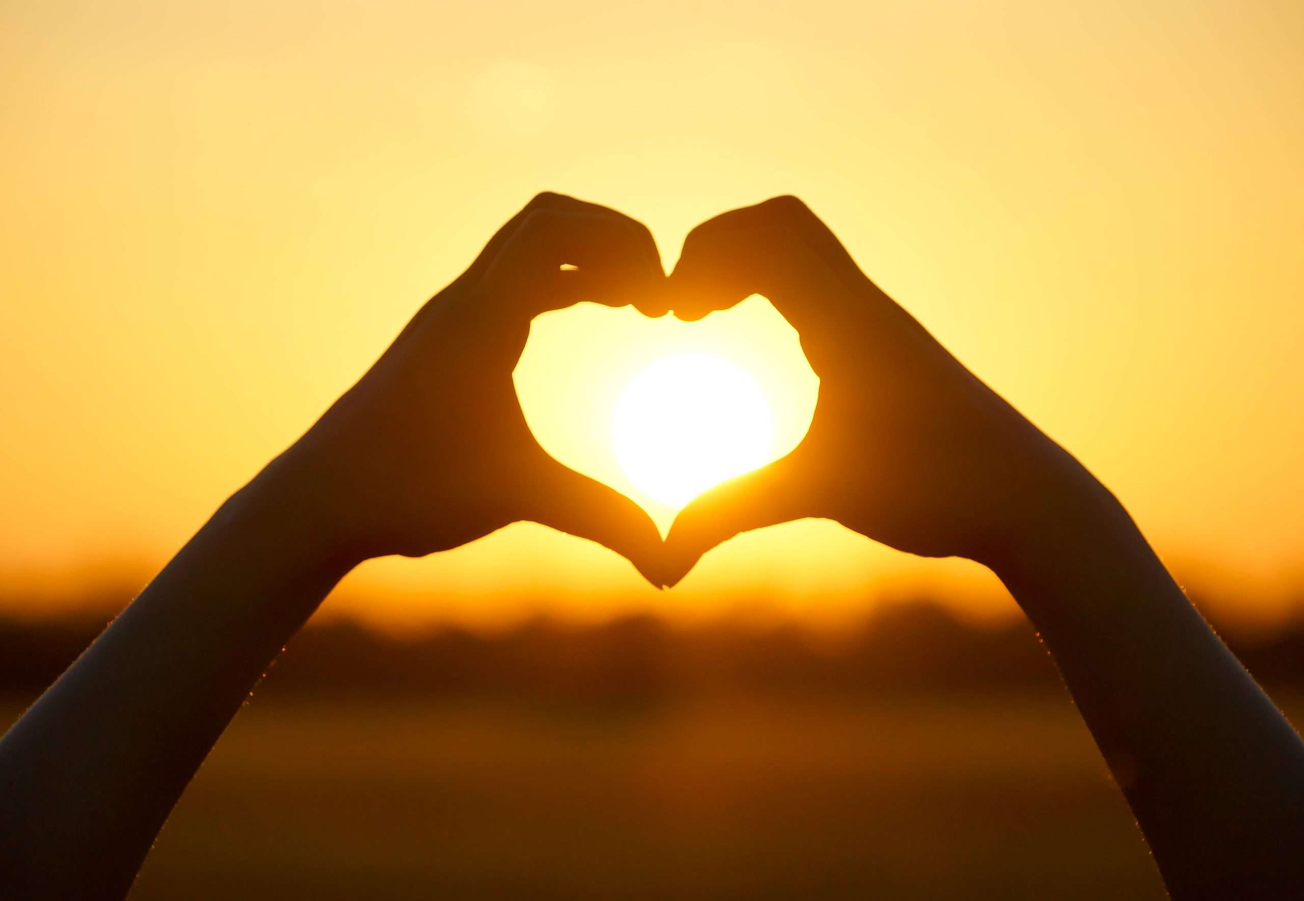 The Language of the Heart