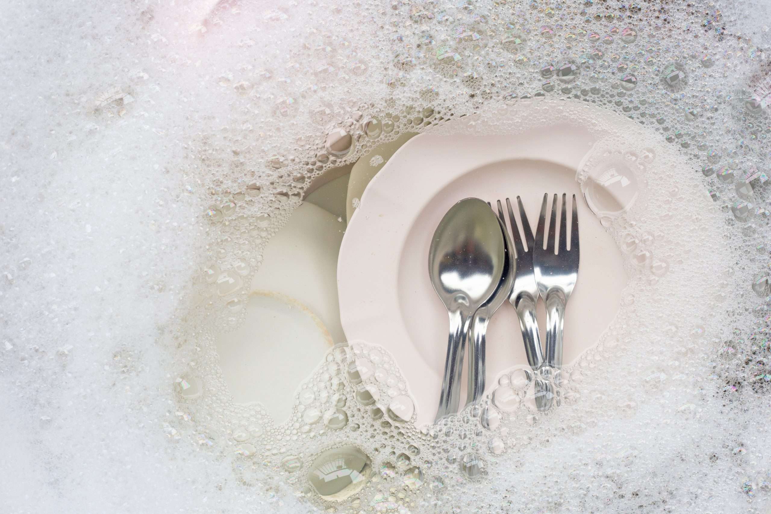 The Dishes