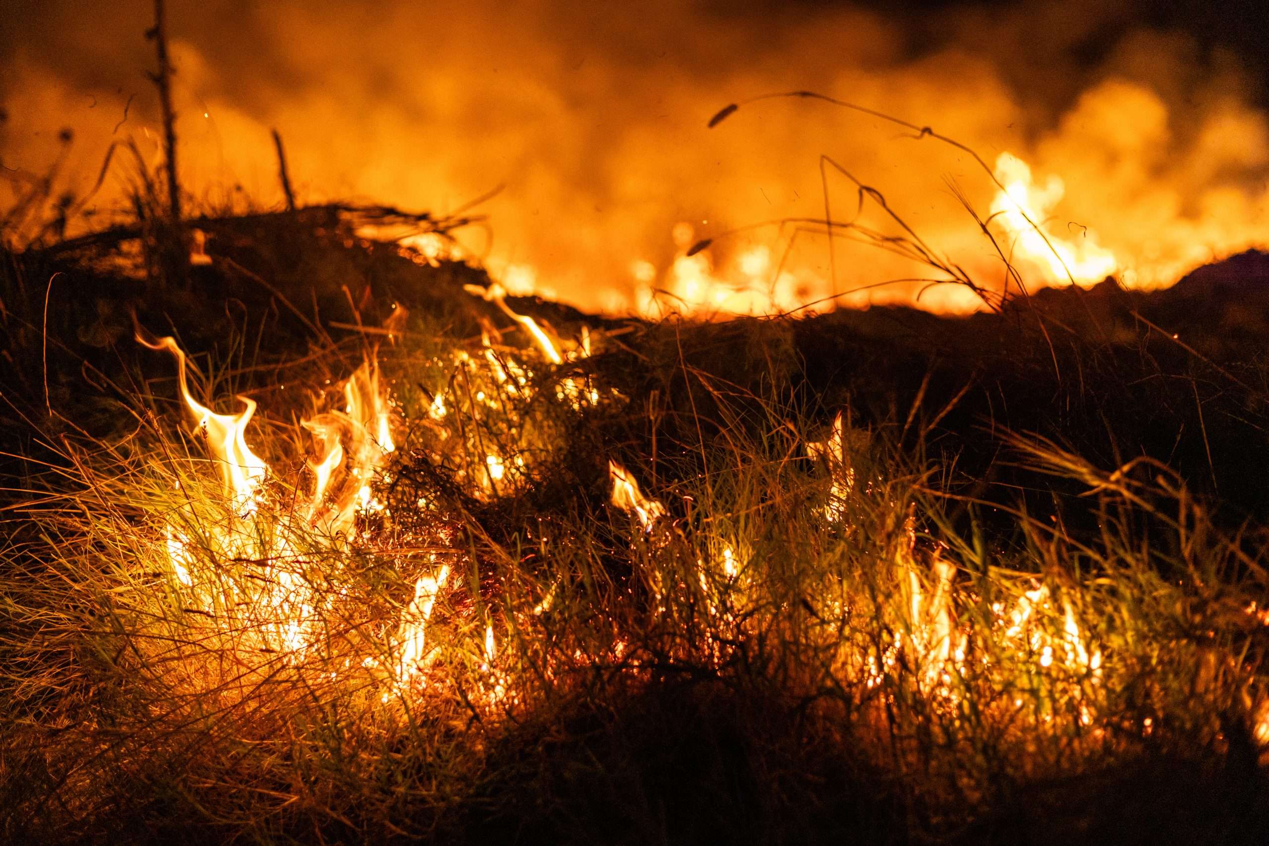 The Escape Fire